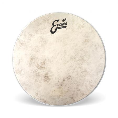 Evans 13" Calftone 